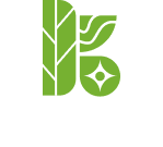 Kaiteki.ai Logo